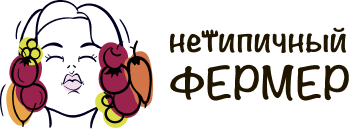 NETFERMER.RU NETFERMER.RU
